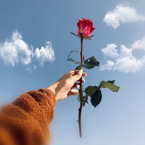 Meet your Posher, Nelly